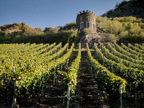Dönnhoff Niederhäuser Hermannshöhle Riesling GG 2024