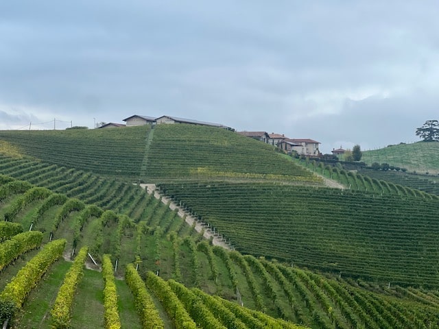 Sottimano Bric del Salto Dolcettto d Alba 2024 DOC