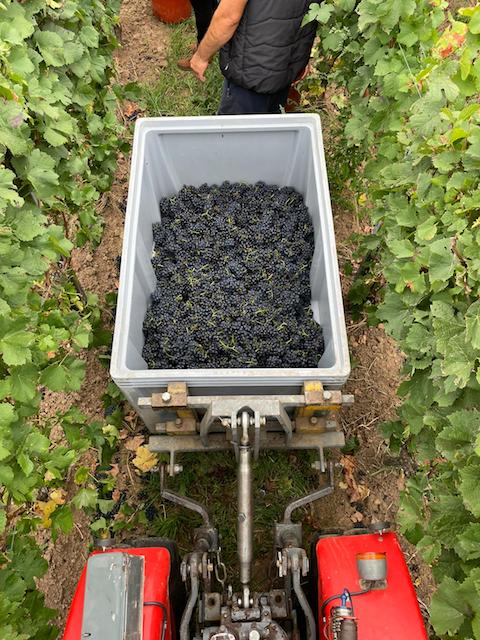 Von Winning Marmar Riesling 2020