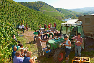 Van Volxem Altenberg Alte Reben Riesling Großes Gewächs 2020 MAGNUM