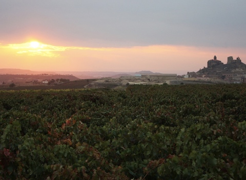 Hacienda Lopez de Haro Crianza
