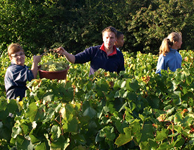 Berthelemot Puligny Montrachet 1er Cru Les Folatieres blanc 2020