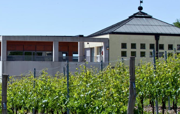Campagnola-Amarone-della-Valpolicella-Classico-1.jpg