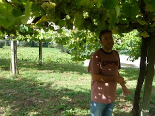 Zarate Balado Albarino 2021