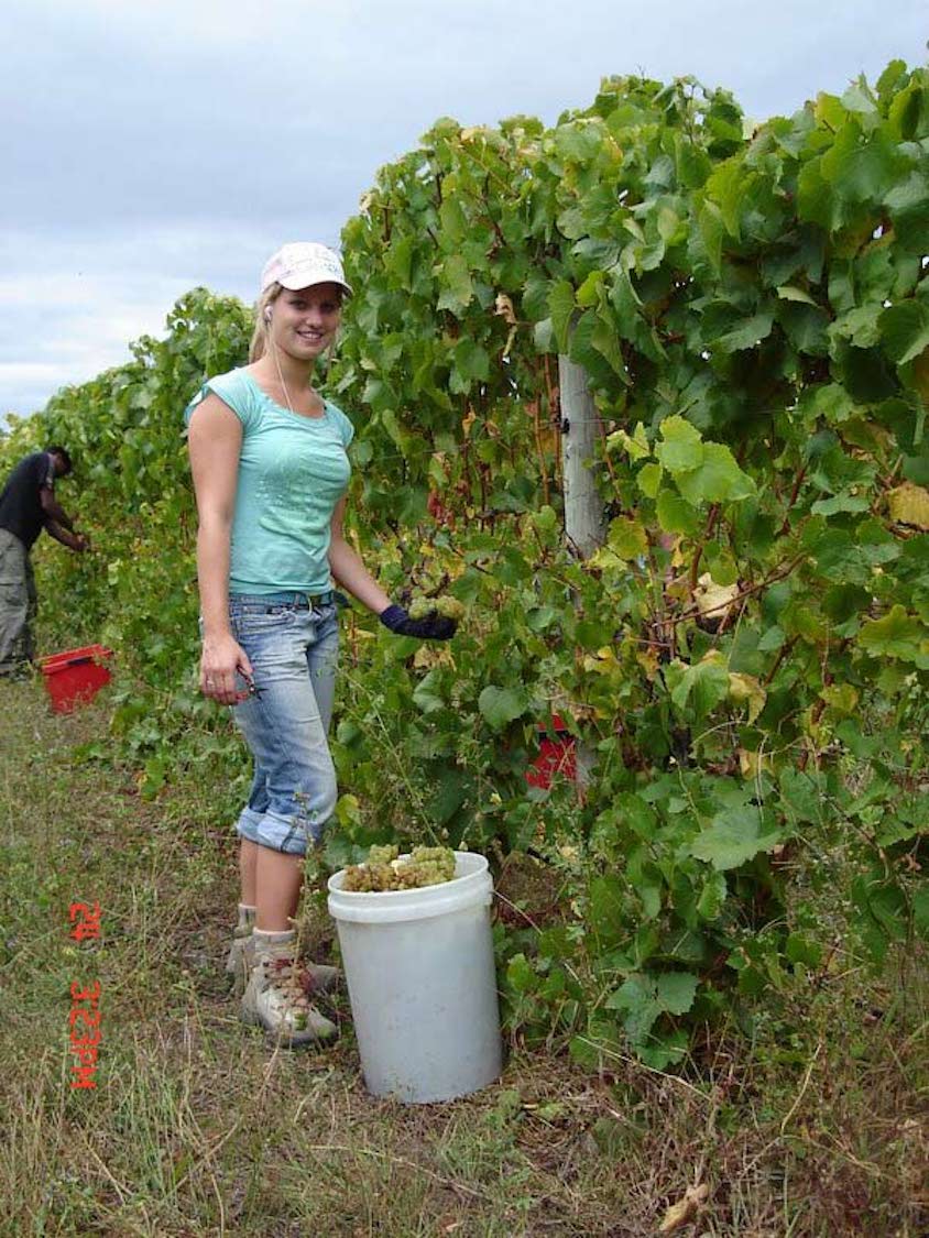 Te Mānia Nelson Organic Pinot Gris 2022 BIO 
