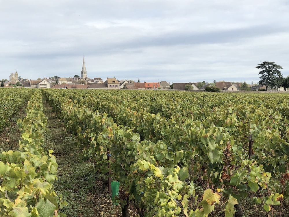 Henri Boillot Puligny-Montrachet Les Folatières 1er Cru blanc 2022