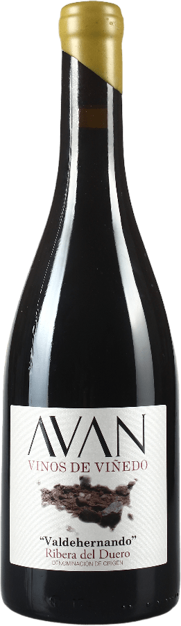Juan Manuel Burgos AVAN 3er Terroir Paket