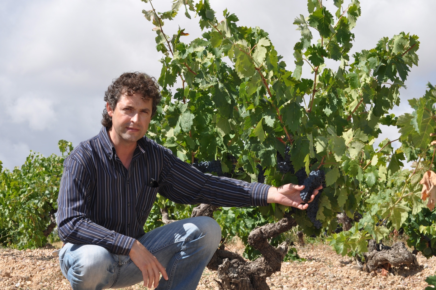 Monteabellon Avaniel tinto