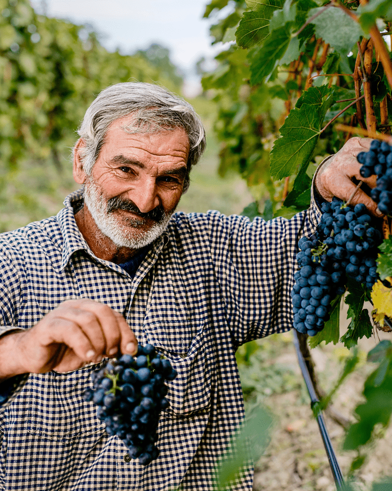Gvantsa´s Wine Tsitska Pet-Nat 2023