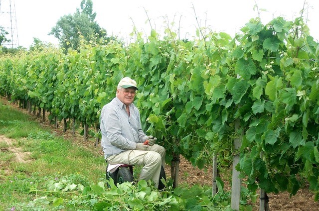 Chateau Aux Graves de la Laurence Ampelos Biturica 2016