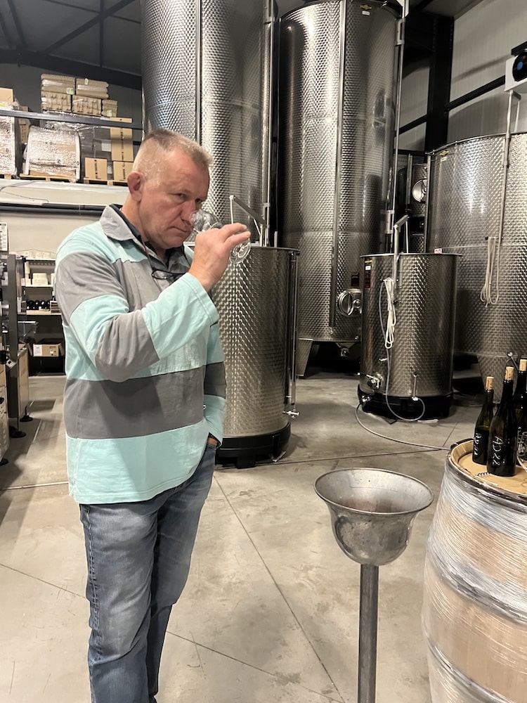 Sylvain Bzikot Bourgogne blanc 2024