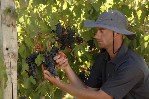 Langmeil Steadfast Shiraz Cabernet