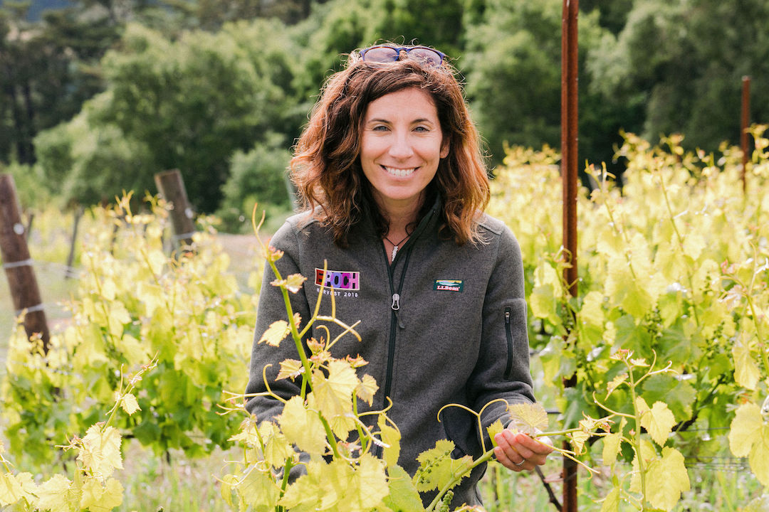 Epoch Tempranillo 2015
