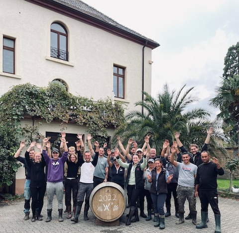 Weingut Andres Grauburgunder BIO