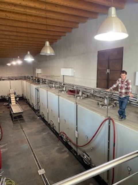 Occhipinti SM Vino di Contrada Grillo 2020 BIO