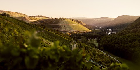 Dönnhoff Roxheimer Höllenpfad Riesling Erstes Gewächs trocken 2023