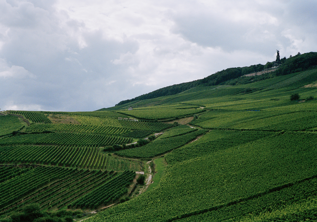 Georg Breuer Pfaffenwies Lorch Riesling 2021