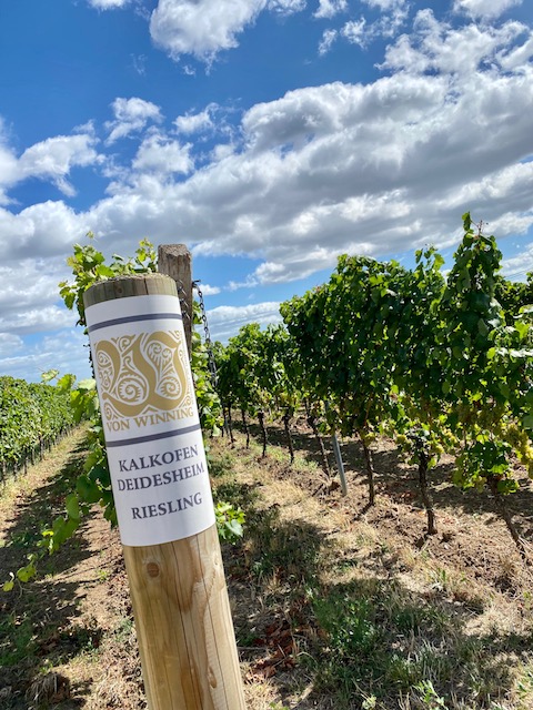 Von Winning Riesling Jesuitengarten GG 2020