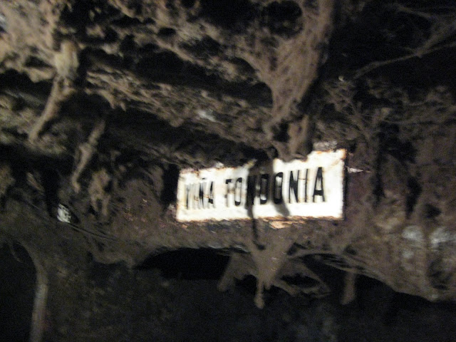 Vina-Tondonia-Reserva-2.jpg