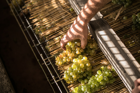 Quinta de la Quietud Corral de Campanas BIO