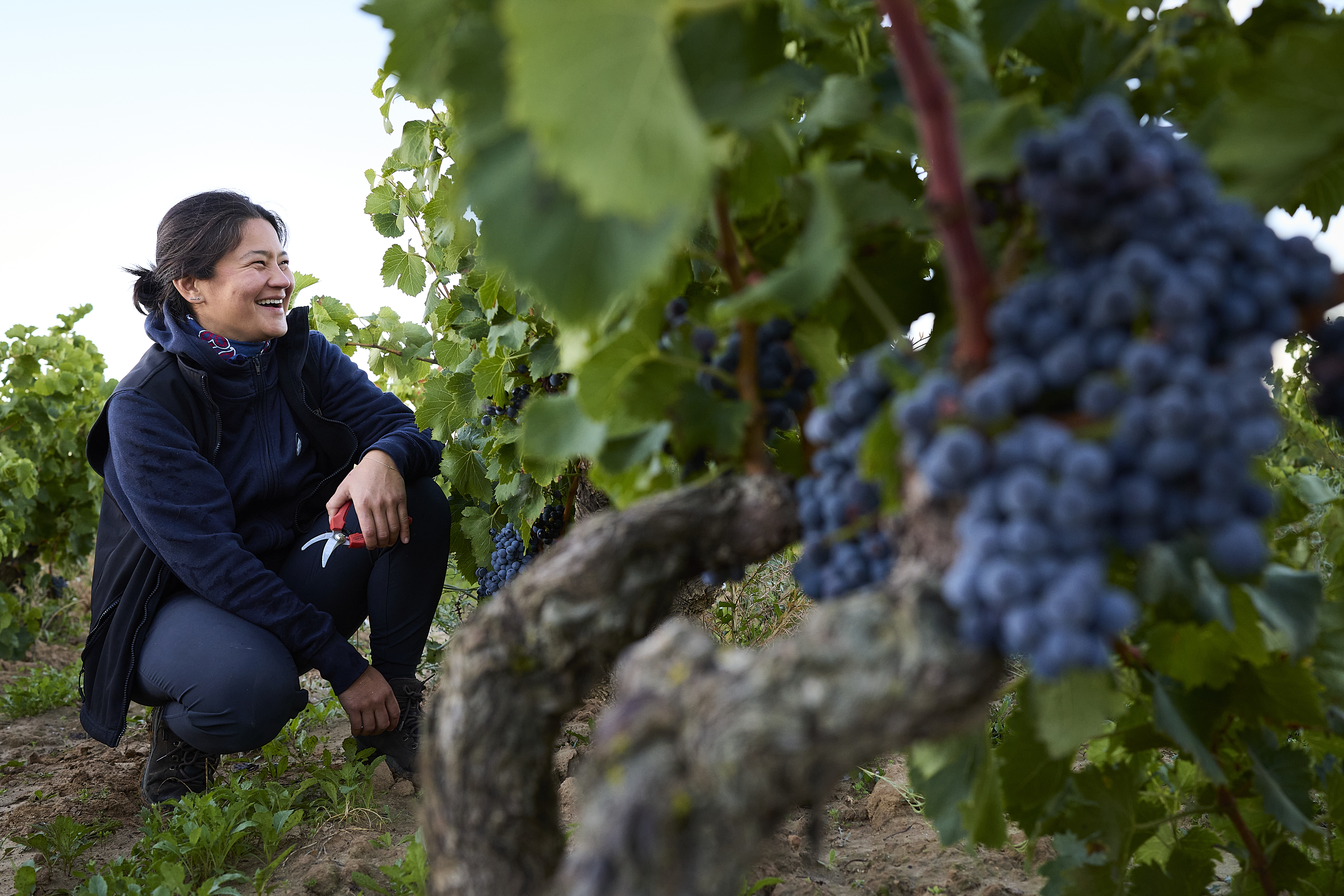 Jade Gross Chiguita GARNACHA BLANCA 2025
