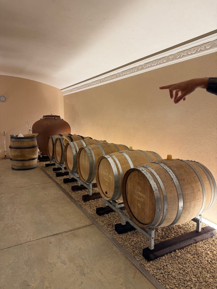 Barrique Fässer in der Domaine du Triptyque in Beaune im Burgund