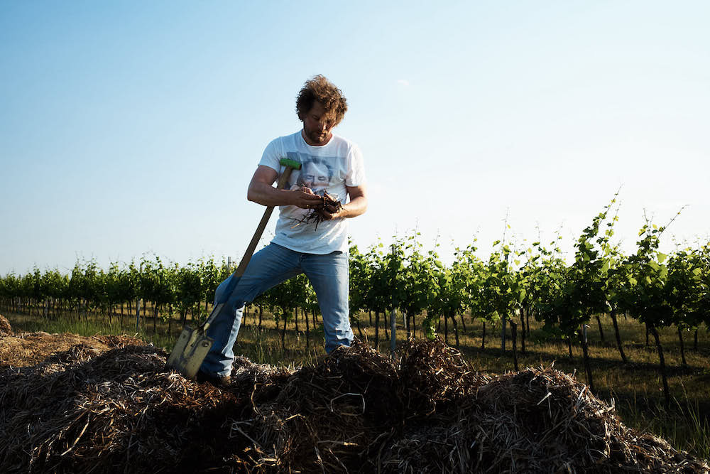 Herbert Zillinger Horizont Chardonnay 2023 BIO