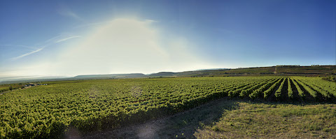 Vina Ardanza Reserva 2019
