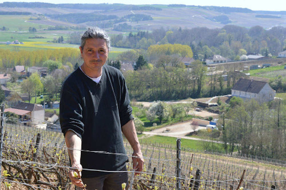 Piollot Champagne Champs Rayés 2018 Brut Nature BIO