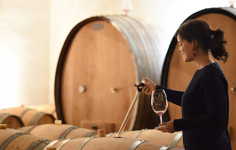 Sierra de Tolono La Dula Garnachas de Altura 2023