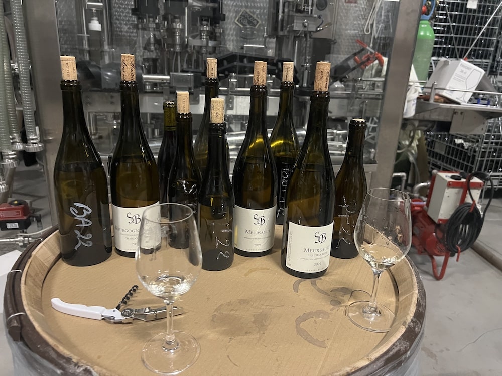 Sylvain Bzikot Bourgogne blanc 2024