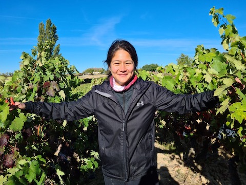 Jade Gross Peace, Love & Garnacha 2022