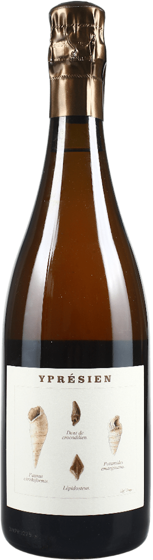 Champagne Legrand Latour Ypresien BIO