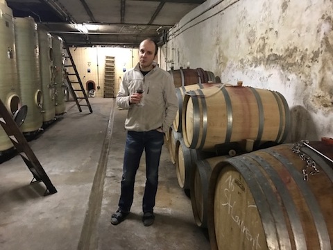Büsser-Paukner Bacchus