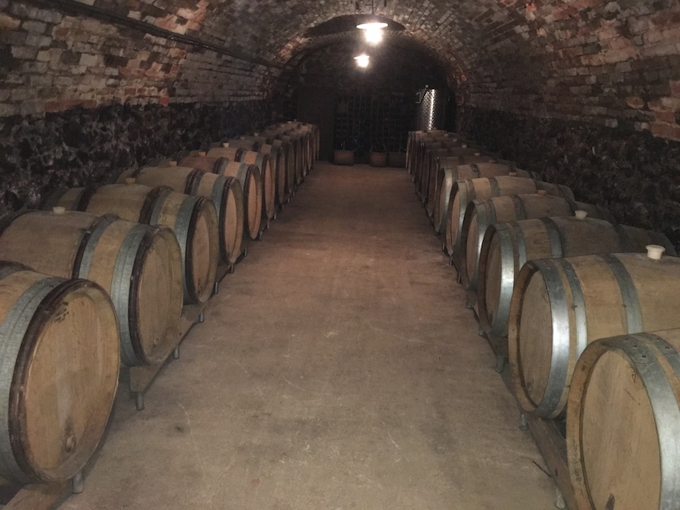 Georges Laval Les Longues Violes 2016 Brut Nature BIO