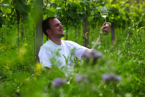 Odinstal Riesling 120 N.N. 2022 BIO