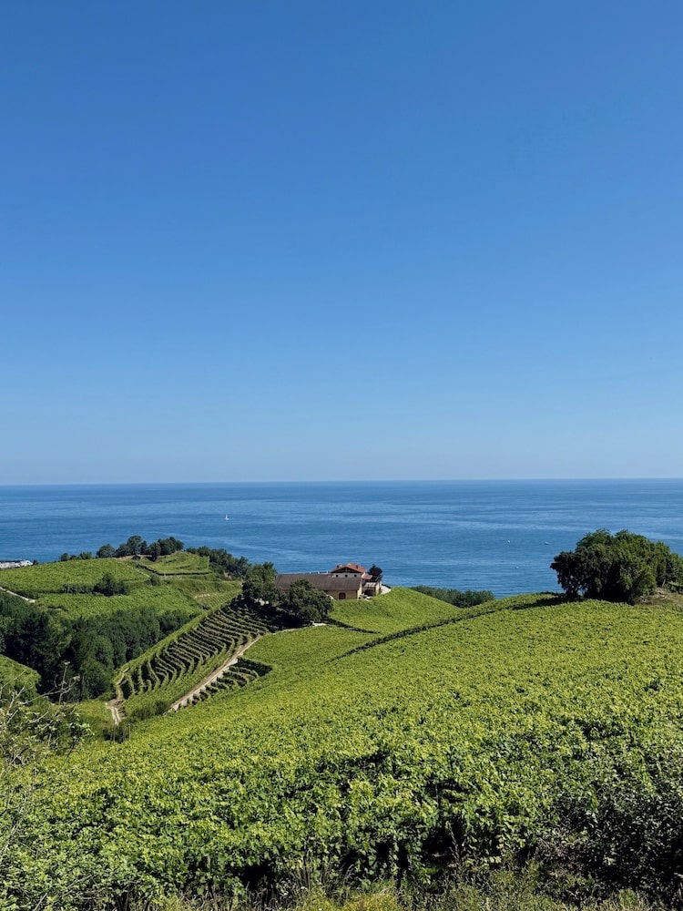 Agerre Txakoli