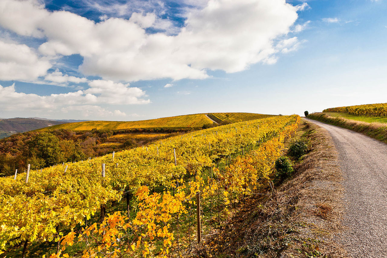 Tenuta Sant´Antonio Amarone della Valpolicella