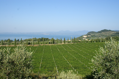 Lenotti Rosso Passo