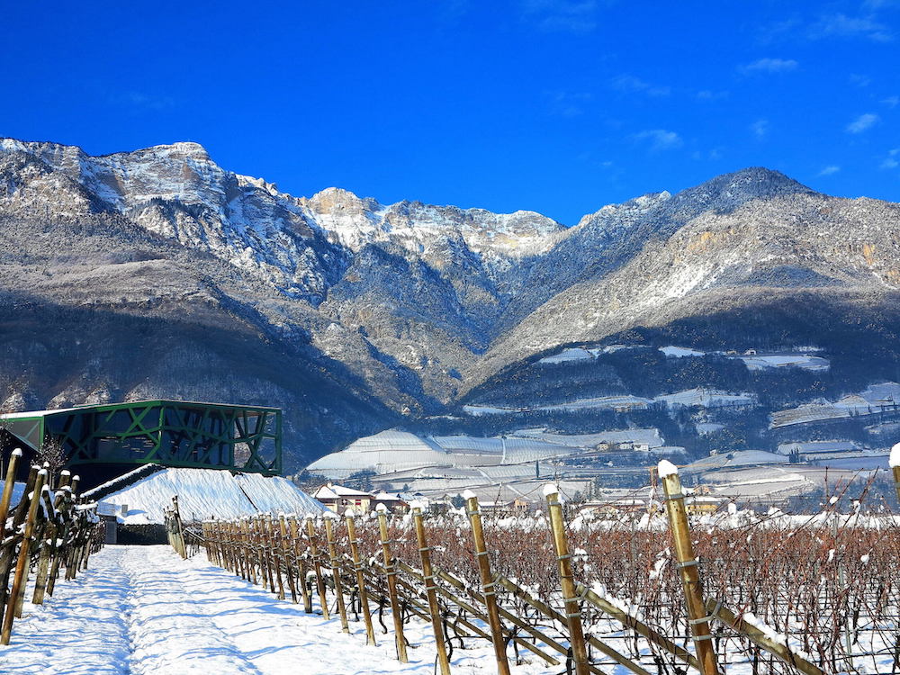 Tramin Gewürztraminer Alto Adige