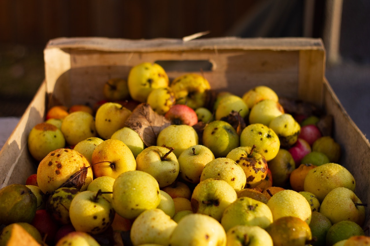 Cidre