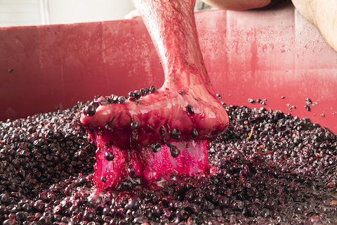 Jose Gil Paraje La Canoca Single Vineyard 2024