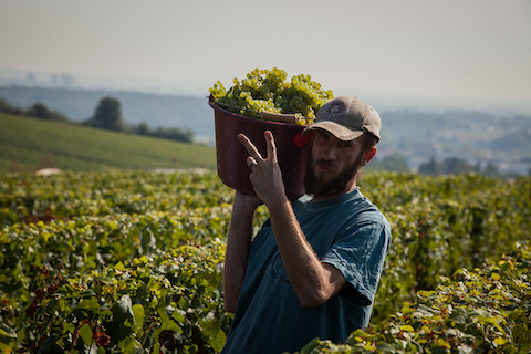 Joblot Givry Le Empreinte 1er Cru 2020