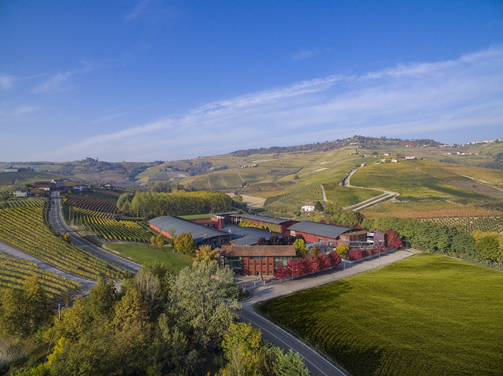 Vite Colte Barbera d'Asti Superiore La Luna e i Falo