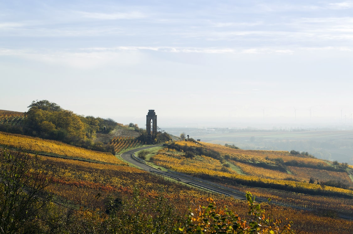 Schwedhelm Wotan-Kalkfels R Riesling trocken 2020
