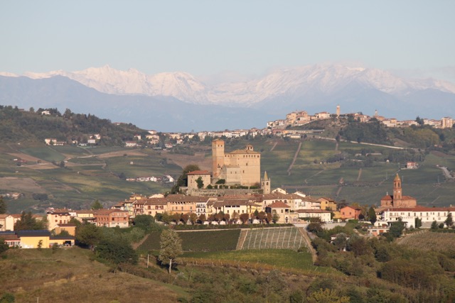 Massolino Barbera d' Alba 2023