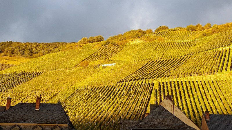 Willi Schäfer Graacher Himmelreich Riesling Spätlese 2025 Magnum