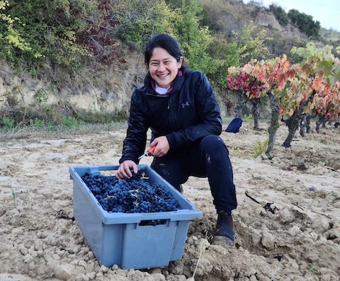 Jade Gross Moon Rocket Magnum tinto 2024