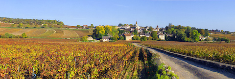 Florent Garaudet Bourgogne rouge Cuvée Léopol 2022