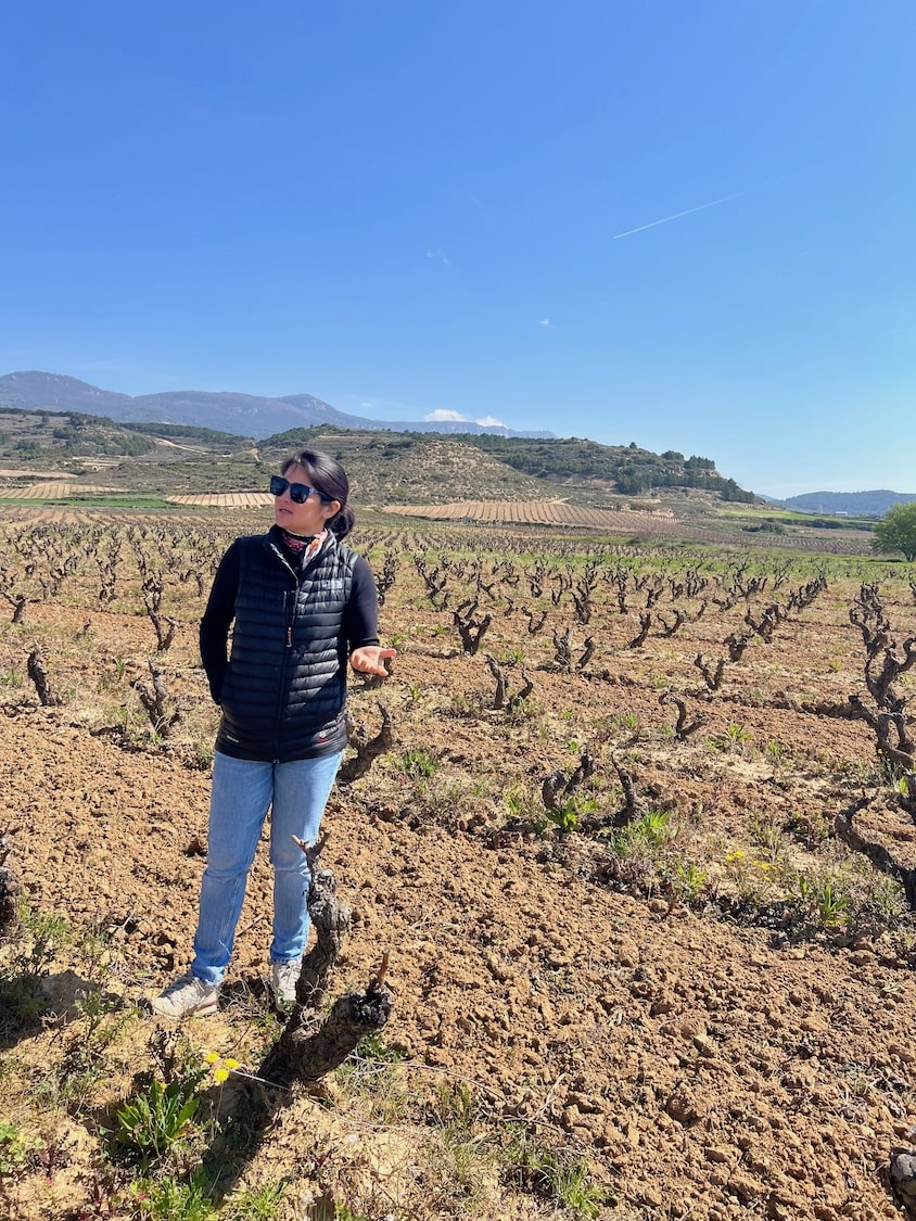 Jade Gross Peace, Love & Garnacha 2023